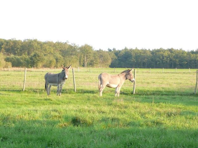 Balthazar et leonard Arrivee (21).jpg